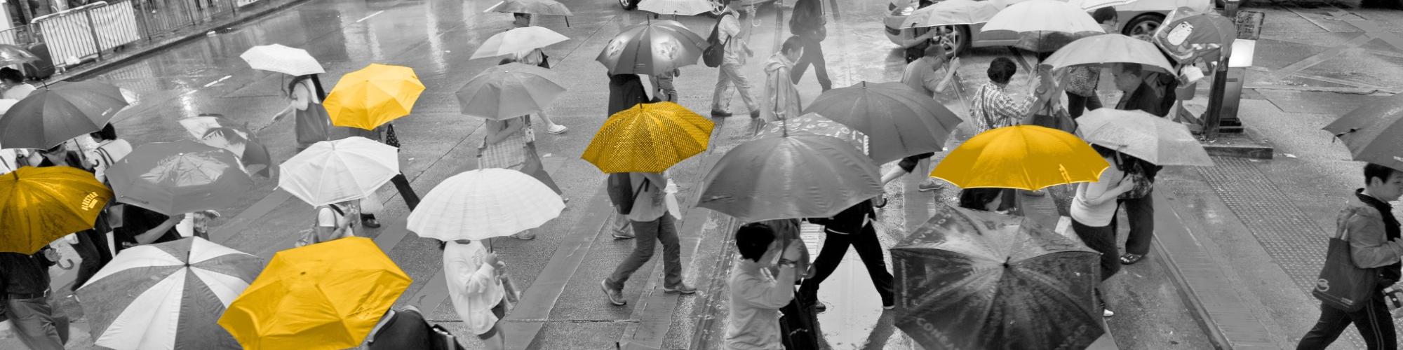 A crowd of people with umbrellas walks across the street on a rainy day. While image is black and white, some umbrellas are bright yellow.